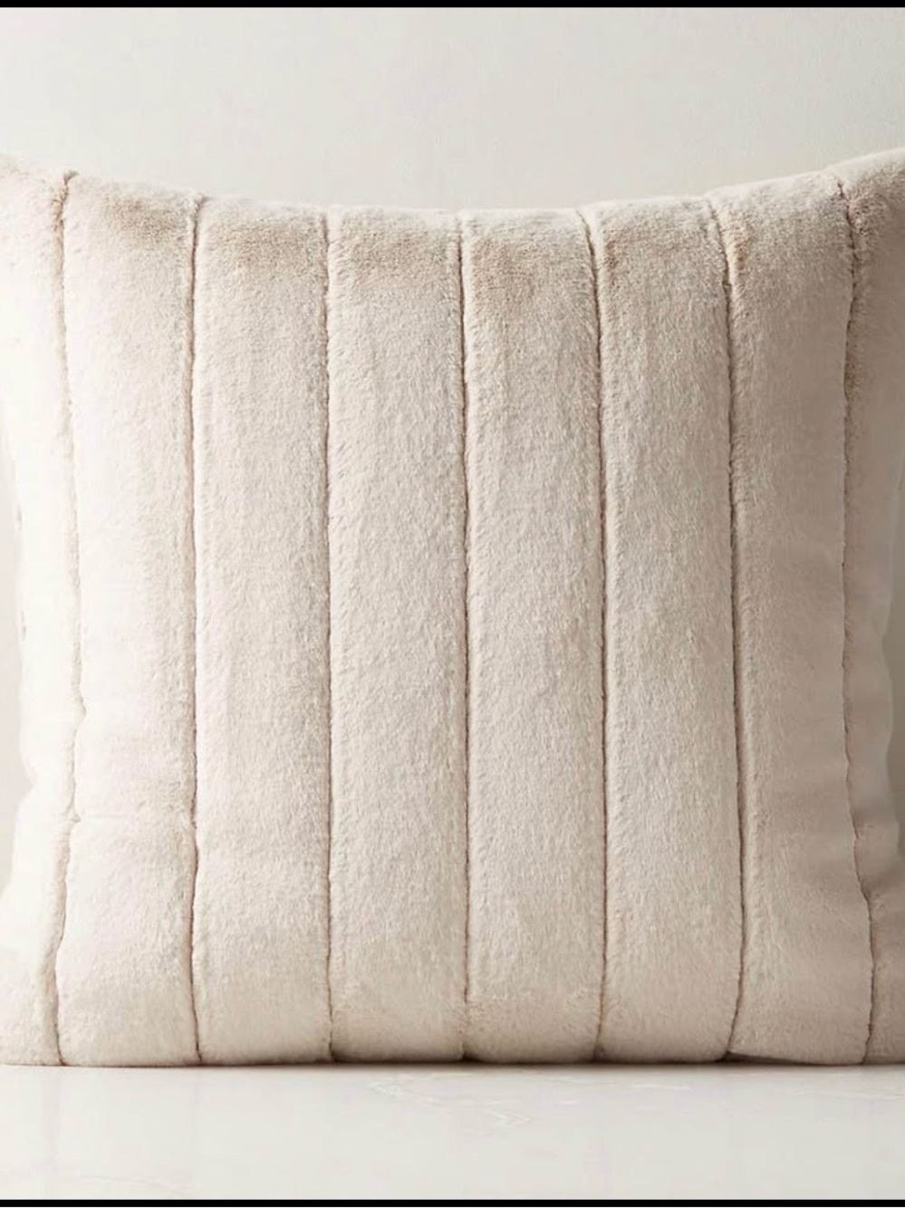 Two Crate & Barrel Designer Throw Pillows